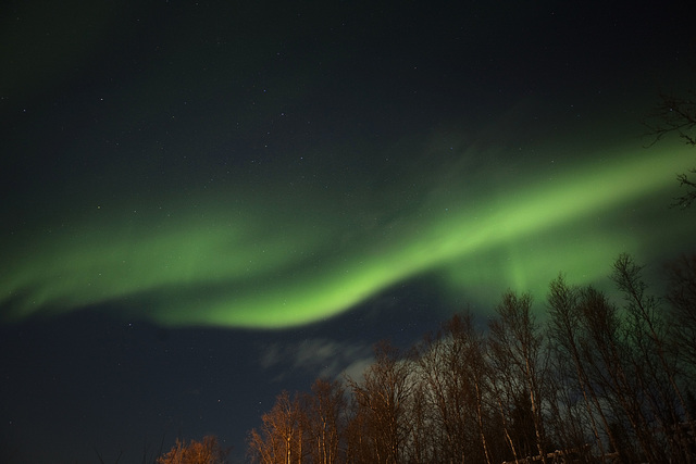 Northern Lights, Malangen Resort