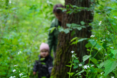 Die Geheimnisse des Waldes erkunden - Exploring the secrets of the forest