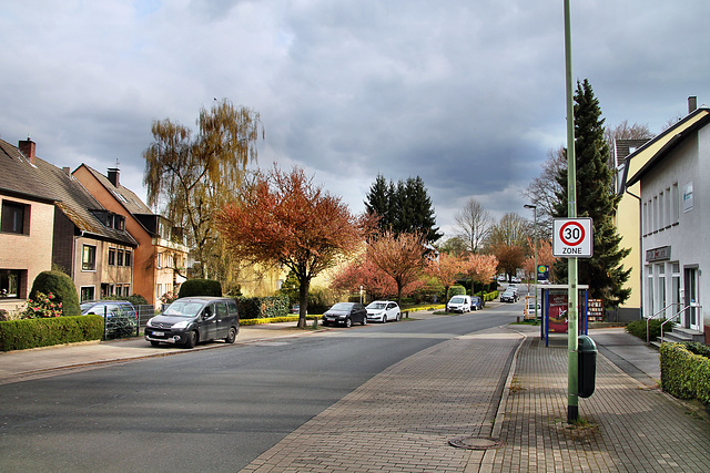 Schönebecker Straße (Essen-Schönebeck) / 2.04.2022