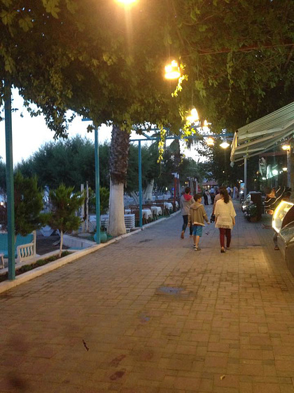 The lovely shady walk along the promenade