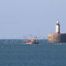 Newhaven harbour entrance & gulls 21 11 2021