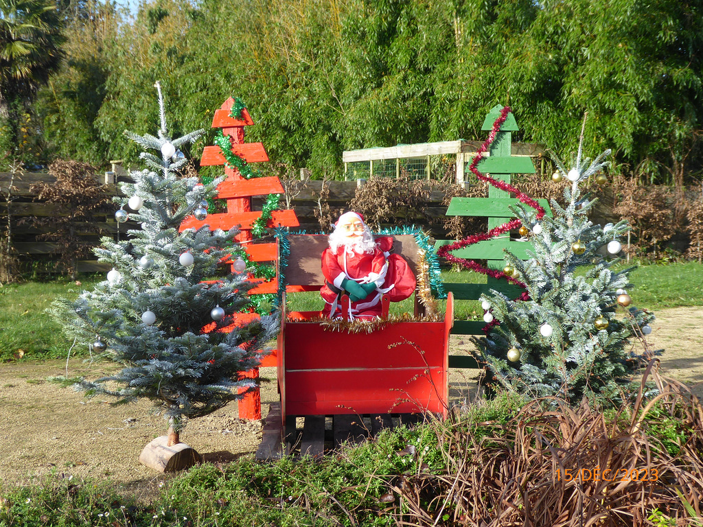 bonne journée de NOEL