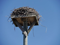 Osprey Tower