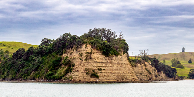 Waiheke Island-1