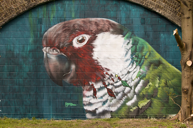 Tower Hamlets Cemetery Park & Ackroyd Drive