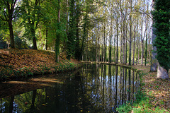 La Juine à Saint-Cyr la Rivière ( 91 )