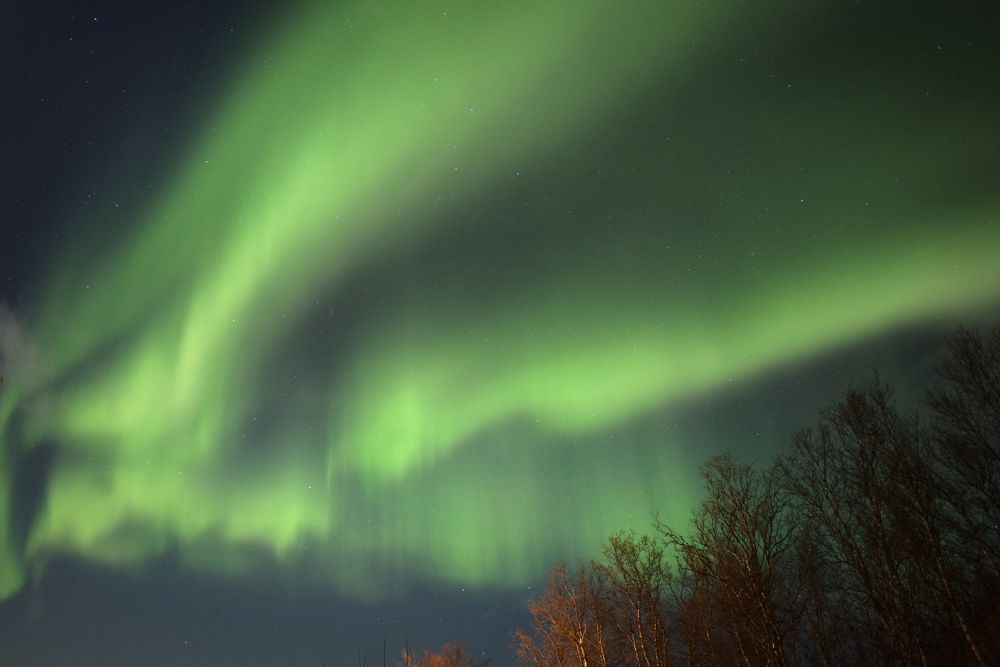 Northern Lights, Malangen Resort