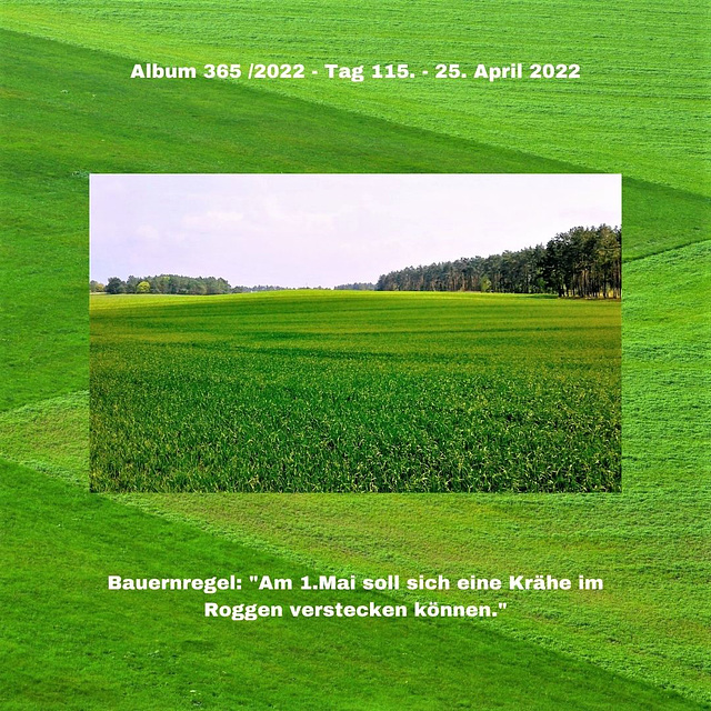 Album 365 /2022 - Tag 115. - 25. April 2022