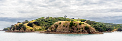 Waiheke Island-2