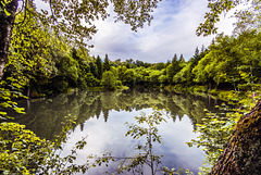 Basaltsee - 20150628