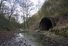 Duckmanton Railway Cutting SSSI (2)