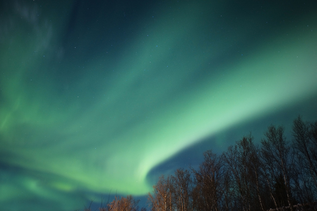 Northern Lights, Malangen Resort