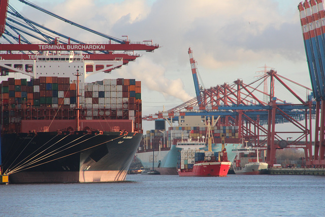 Waltershofer Hafen Hamburg