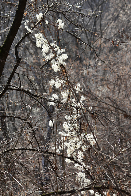 Lumière de printemps