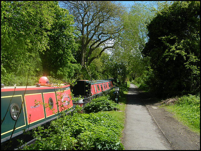 spring green at Hythe Bridge