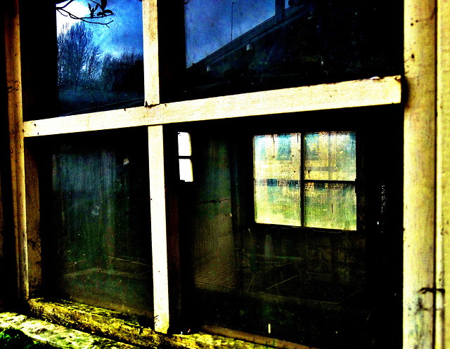 Look Through Any Window