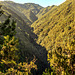 LEVADA DO CALDEIRÃO VERDE