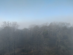 Nebel am Eschkopf, Johanniskreuz
