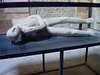 Replica in plaster of victim of Vesuvius eruption.