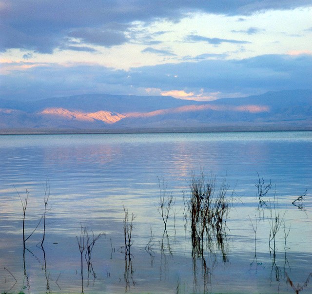 The Dead Sea looking towards Jordan in 1982