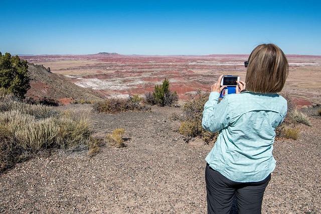 Shari taking her photo of the painted desert