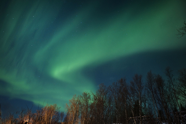 Northern Lights, Malangen Resort