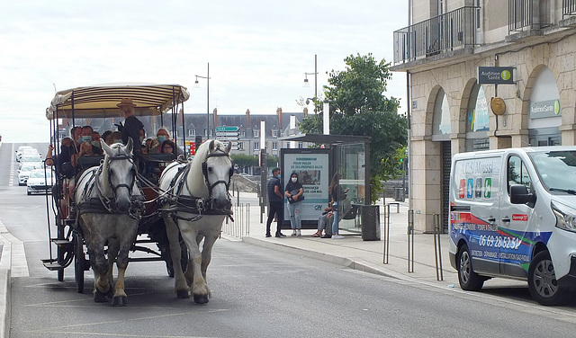 Ballade équestre dans Blois