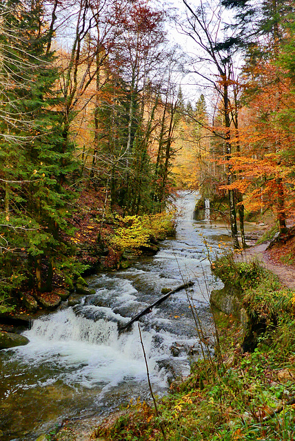 P1340155- La rivière 2 - Cascades du Hérisson.  28 octobre 2020