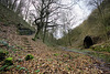 Duckmanton Railway Cutting SSSI