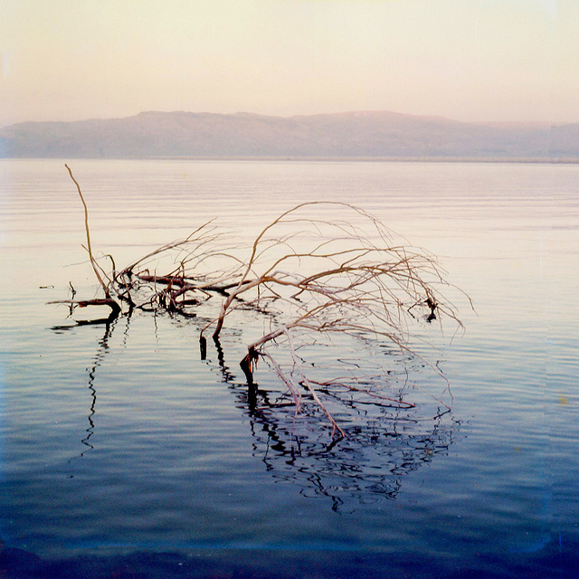 The Dead Sea with a view towards Jordan in 1982