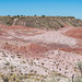 The painted desert