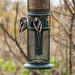 Long tailed tits