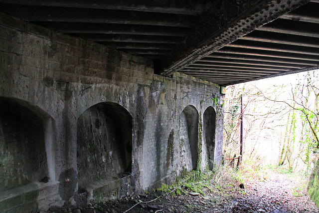 Under the bridge