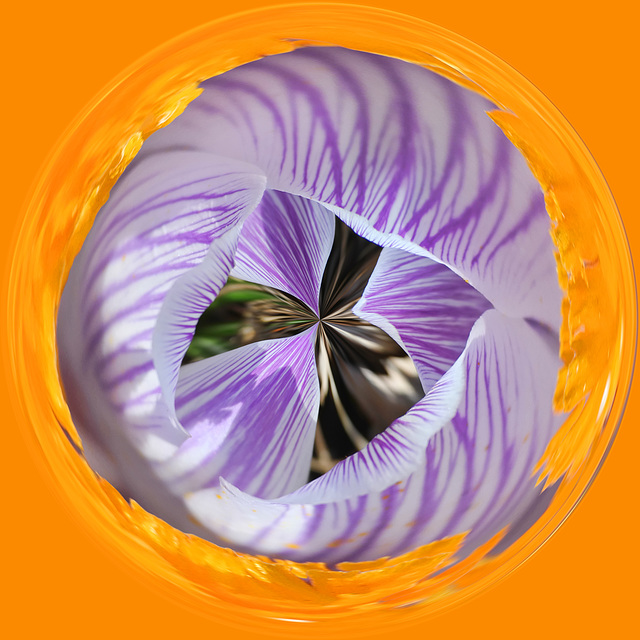 croci orb3