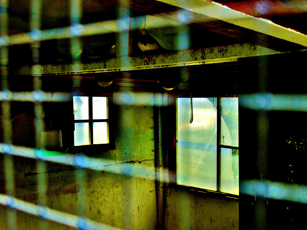 Look Through Any Window