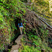 LEVADA DO CALDEIRÃO VERDE