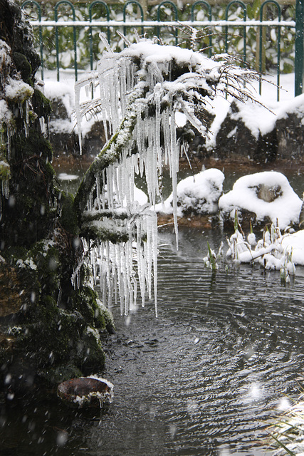 Frozen Fountain