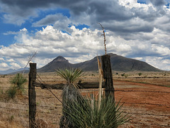 Mustang Mountains