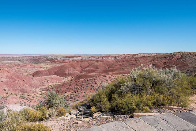 The painted desert2