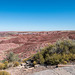 The painted desert2