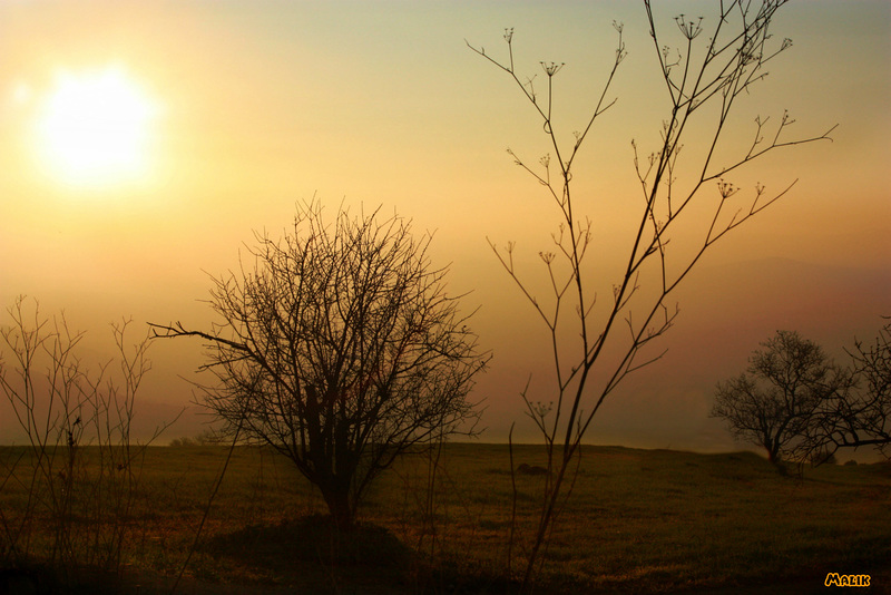 Bon Dimanche/ Happy Sunday.