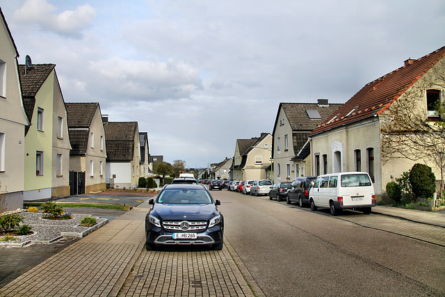 Ardelhütte (Essen-Schönebeck) / 2.04.2022