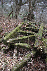 Platform remains