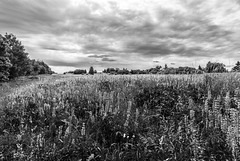 Hochrhön - 20150628