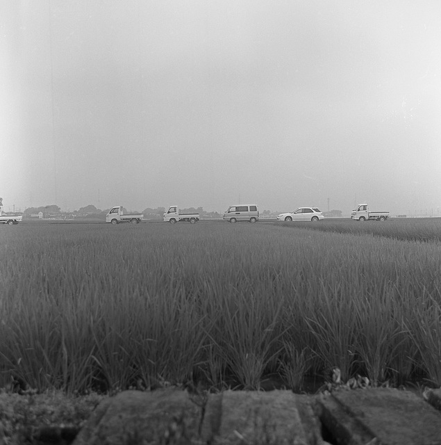 Farmers' meeting being held in the field