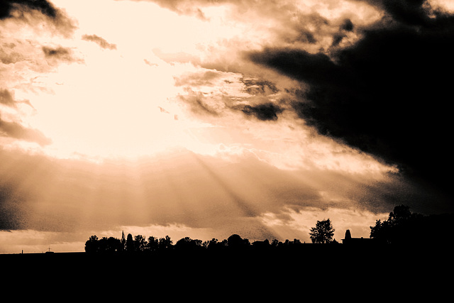 Landscape in Sepia