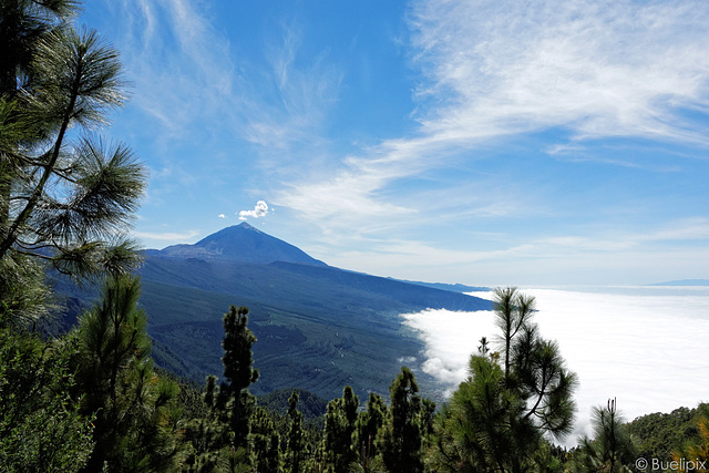 Mirador de Chipuque (© Buelipix)