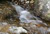 Ruisseau au 1/10