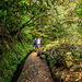 LEVADA DO CALDEIRÃO VERDE