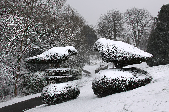 Park Topiary